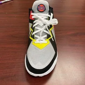 Nike | Shoes | Nike Lebron 8 Low Space Jam Sylvester Vs  display picture 2